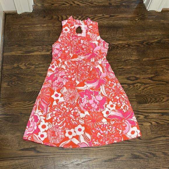 Lily Pulitzer Beautiful Floral Dress - Picture 7 of 10